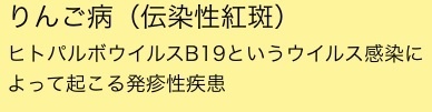 りんご病(伝染性紅斑)意味.jpg